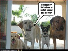 Enlarge photo 18