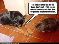 Enlarge photo 4