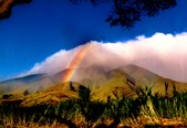 Enlarge photo 30