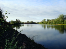 Enlarge photo 374
