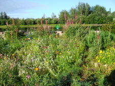 Enlarge photo 376