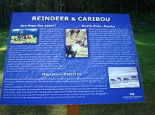 Enlarge photo 380