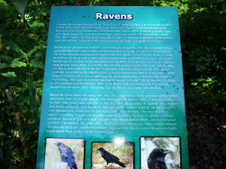 Enlarge photo 387