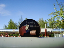 Enlarge photo 390