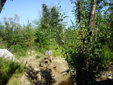 Enlarge photo 394