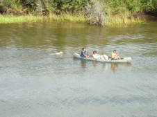 Enlarge photo 426
