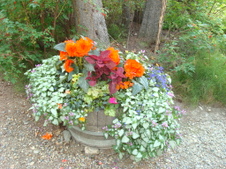 Enlarge photo 433