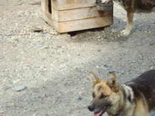 Enlarge photo 434