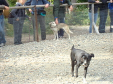 Enlarge photo 436