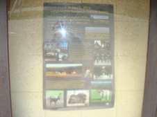 Enlarge photo 446