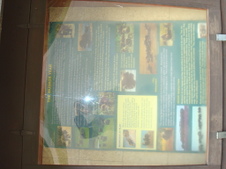 Enlarge photo 448
