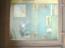 Enlarge photo 451