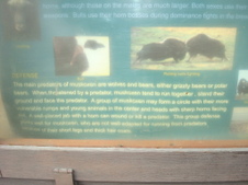 Enlarge photo 452
