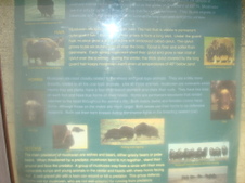 Enlarge photo 454