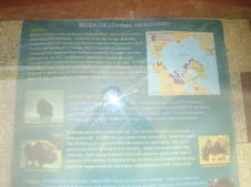 Enlarge photo 457