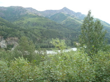 Enlarge photo 478
