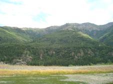 Enlarge photo 483