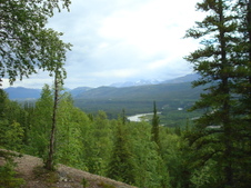 Enlarge photo 496