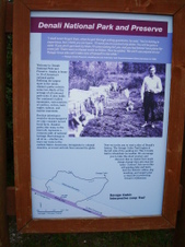 Enlarge photo 523