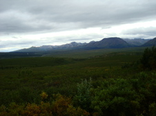 Enlarge photo 525