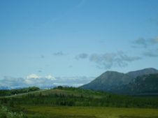 Enlarge photo 534