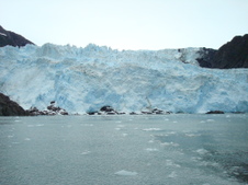 Enlarge photo 561