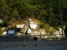 Enlarge photo 603