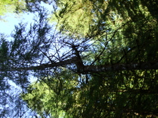 Enlarge photo 626