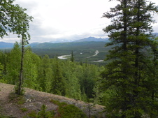 Enlarge photo 45