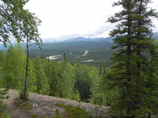Enlarge photo 46