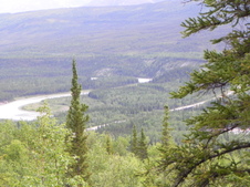 Enlarge photo 47