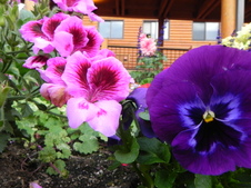 Enlarge photo 54