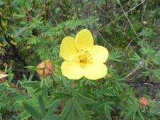 Enlarge photo 72