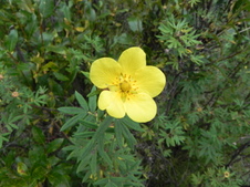 Enlarge photo 73
