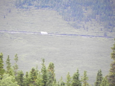 Enlarge photo 75
