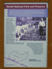 Enlarge photo 77