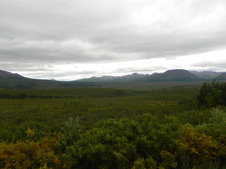 Enlarge photo 79