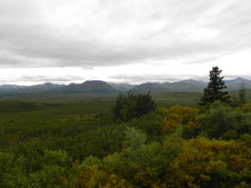 Enlarge photo 80