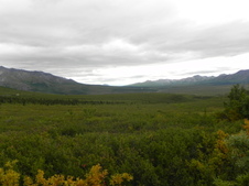 Enlarge photo 81