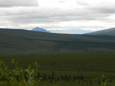 Enlarge photo 82