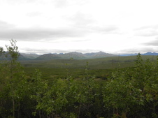 Enlarge photo 83
