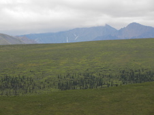 Enlarge photo 84