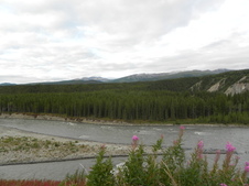 Enlarge photo 88