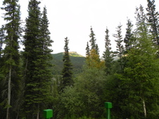 Enlarge photo 89