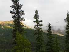 Enlarge photo 91