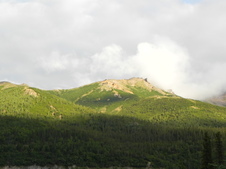 Enlarge photo 93