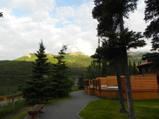 Enlarge photo 95