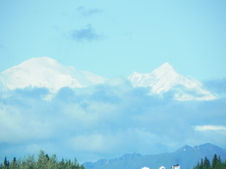 Enlarge photo 106