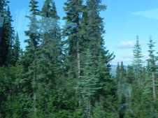 Enlarge photo 109