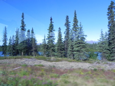 Enlarge photo 112